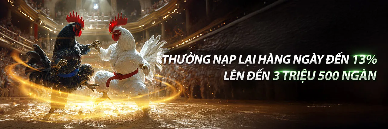 Đá Gà Trực Tiếp Kịch Tính AE3888
